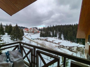 Apartment Love Pamporovo